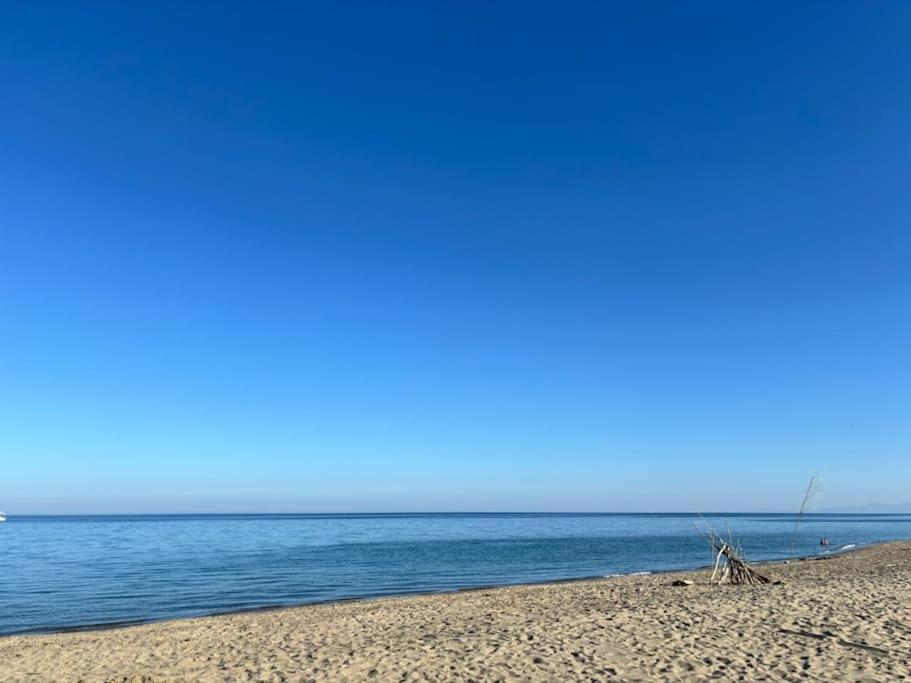 Appartement Bord De Mer 르발카레스 외부 사진